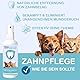 Dentalspray für Hunde & Katzen – 100% natürlich & effektiv gegen Zahnbelag & Zahnstein – Für einen frischen Atem und gegen Mundgeruch – Zahnpﬂege & Reinigung ganz ohne Bürste