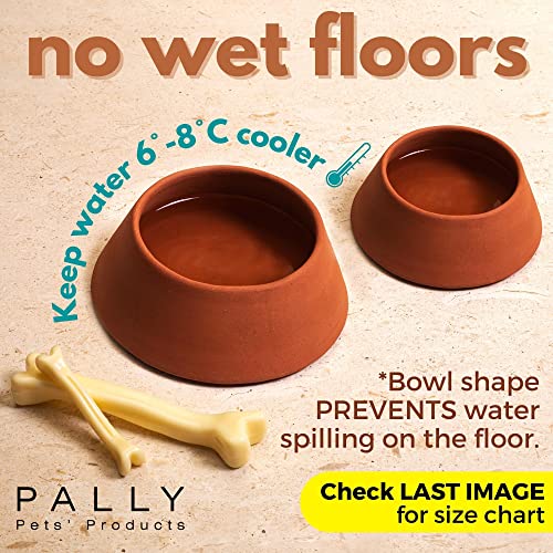 Image of PALLY Pets' Products Eco-Friendly Natural Clay Dog Bowl | Keeps Water Cool | No-Spilling of Water on Floor (Raw Terracotta, Small 550ml)