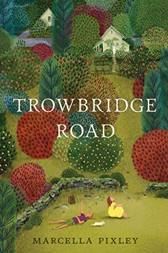 Trowbridge Road Kindle Edition By Pixley Marcella Children Kindle Ebooks Amazon Com