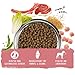bosch HPC Mini Adult mit Lamm & Reis | Hundetrockenfutter für ausgewachsene Hunde kleiner Rassen (bis 15 kg) | 1 x 1 kg
