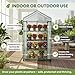 4 Tier Mini Greenhouse - Portable Greenhouse with Locking Wheels and PVC Cover for Indoor or Outdoor - 27 x 19 x 63-Inch Green House by Home-Complete
