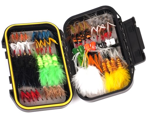 TWUROTI 64PCS Fly Fishing Flies Assortment Kit for Trout Bass, Dry/Wet Flys Fishing Lures | Popper Woolly Bugger Flies with Waterproof Fly Box