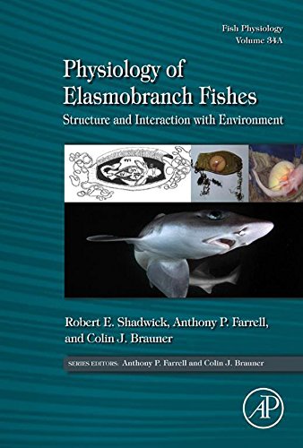Physiology of Elasmobranch Fishes: Structure and Interaction with Environment: Structure and Interaction with Environment- (Fish Physiology Book 34) (Volume 34A)