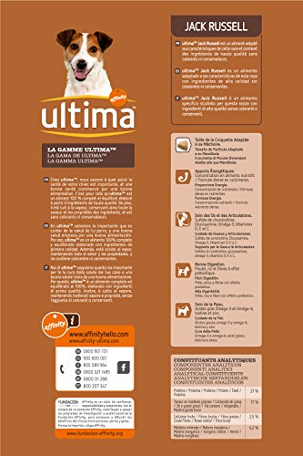 Ultima Jack Russell Formel Trockenfutter 1,5 kg
