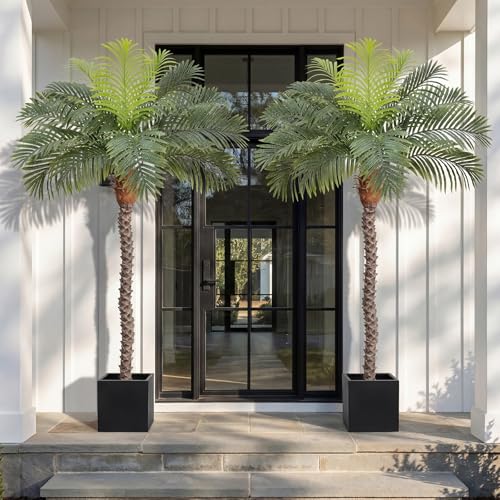 Image of 6ft Tall Artificial Phoenix Palm Tree for Outdoor Indoor Decor, Large Faux Coconut Silk Palm Tree Tropical Fake Tree Perfect for Outside Patio Poolside Home Office Decor (Set of 2)