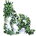 Botius 40 Ft Realistic Artificial Ivy Garland - UV Resistant Fake Hanging Vines for Indoor/Outdoor Wedding, Wall, Party, Garden Decor - Pack of 5