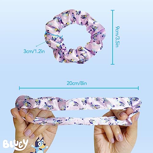 Bluey Hair Accessory Set: Brush & 4 Scrunchies for Kids - $6.99