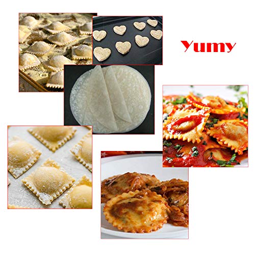 MGGi 5 Set Ravioli Stamp Cutter,Large Round,Small Round,Square,Heart Shape Ravioli Maker & Dough Wheel Cutter,Metal Pasta Stamp Press Mold - for Ravioli,Pasta,Dumplings Lasagna,Pierogi,Wonton,Pastry
