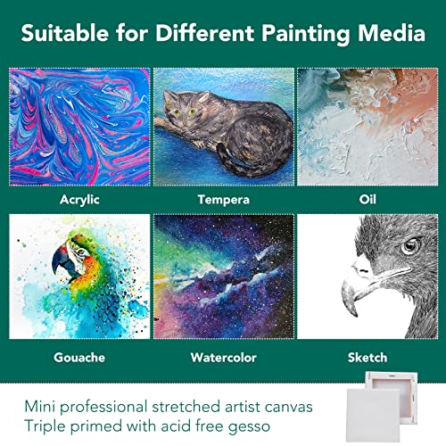 Esrich Mini Stretched Canvas 16Pack 3*3Inch,2/5Inch Profile Art Primed Canvases For Painting,100% Cotton Small Professional Stretched Canvas For Kids And Art Supplies,For Acrylics,Oils&Other Painting #TOP2