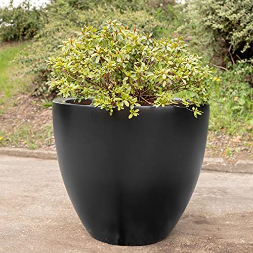 Gardenix Decor Global Trade & Utility Products Fiber Reinforced Plastic Planter Pot, Gamla Charcoal Gray, Height: 12 inch, Width:15 inch, 1 Pcs (B09NNNJMD6) Amazon Price History, Amazon Price Tracker