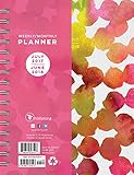 TF Publishing 2018 Academic Painted Watercolor Dots Weekly Monthly Planner - July 2017-June 2018 (18-9224A)