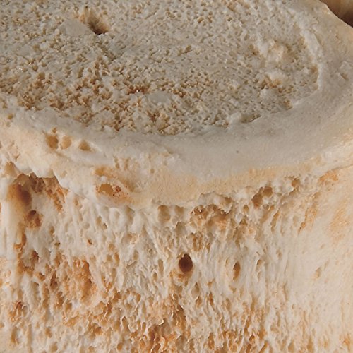 3B Scientific Menschliche Anatomie - BONElike ™ Wirbelsäule + kostenlose Anatomie App - 3B Smart Anatomy