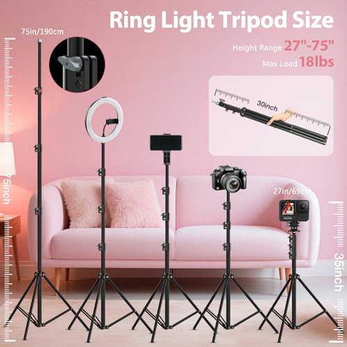 Ring Light with Stand 22inch Kit: Professional Ring Light Overhead Tripod for iPhone ipad, LCD Display/2 USB Ports for Makeup Barber Tattoo Lash Extension Video Photography Lighting (Pink)