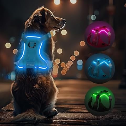 Light Up Dog Harness,Led Dog Harness Rechargeable Lighted Dog Harness for Night Walking,Adjustable Dog Safety Vest for Small Medium Large Dogs-No Pull,Blue,XL Cover