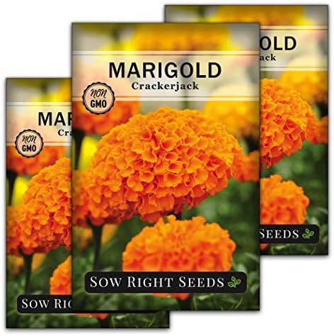 African Marigold Seeds - Crackerjack Mix | Flower Seeds in Packets African Marigold Seeds - Crackerjack Mix | Flower Seeds in Packets