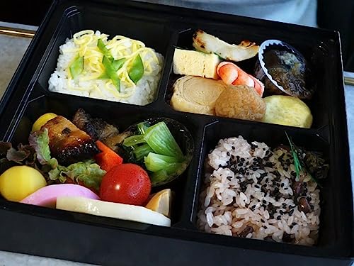 特急スペーシアと「日光東照宮400年式年大祭記念弁当」のサムネイル