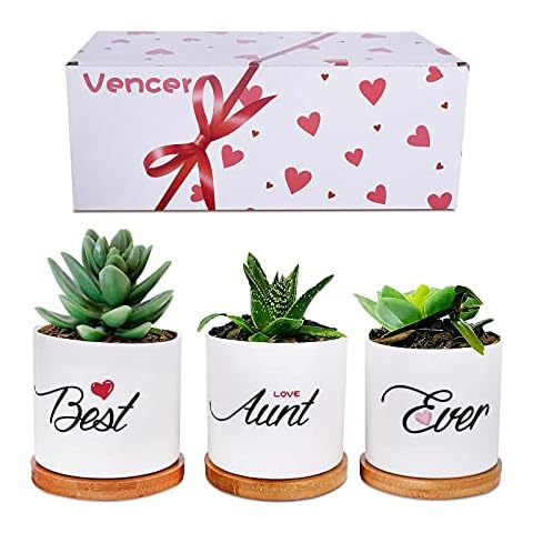 Vencer Best Aunt Ever- Aunt's Present for Birthday or Christmas- Cute Succulent Pots,Aunt's Birthday Present, Funny Aunt’s Present,VF-170A Cover