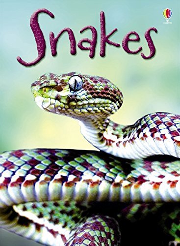 Télécharger [(Snakes)] [By (author) James Maclaine] published on (February, 2014) Gratuit