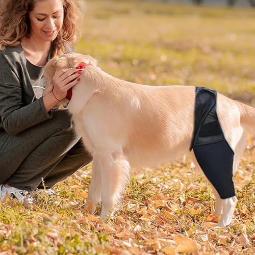 HSUYUN XL Leckschutz Hund Hinterbein, Verstellbar Leckschutz Hinterbein Hund, Schwarz Hunde Kniebandage Hinterbein, für Unterstützung und Schutz der Vorder- und Hinterbeine von Hunden