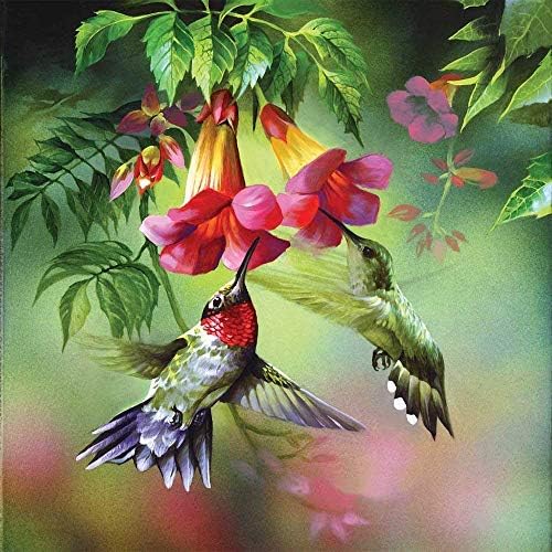 Blxecky 5D DIY Diamond Painting by Number Kits，Bird(12X12inch/30X30CM)