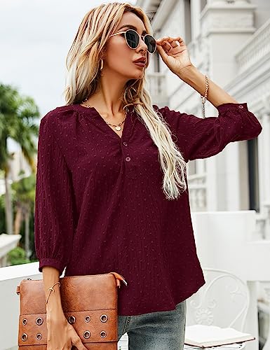 LOMON Women's Casual 3/4 Sleeve Henley V-Neck Button Up Pleated Back Blouses Swiss Dot Blouse Tops T-Shirts S-XXL2