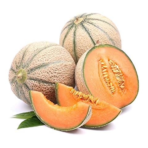 PREMIER SEEDS DIRECT - Melon -Malaga F1 20 seeds Cover