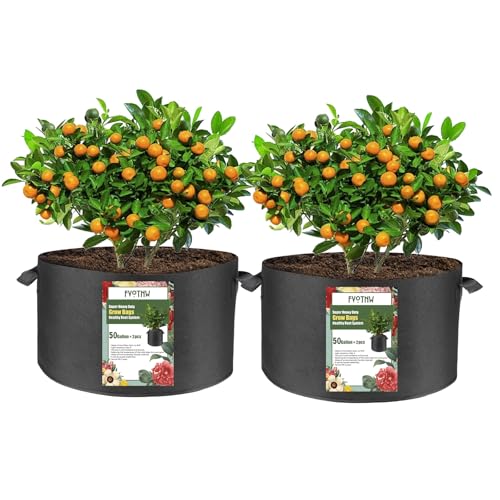 FVOTNW 2-Pack 50 Gallon Fabric Grow Bags with Handle Heavy Duty 300G Thickened Nonwoven with Handles and Reusable Suitable for Garden Vegetables Fruits and Flowers(Black)