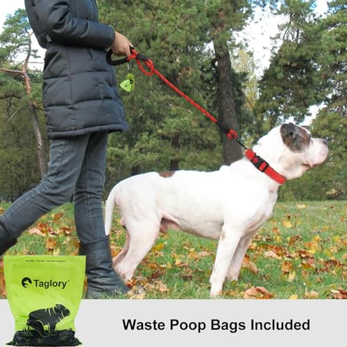 Taglory Hundeleine mit bequemen gepolsterten Griff, robuste Hundeleine zum Trainieren und Gassi gehen, 150×1.2cm Reflektierend Führleine aus weichem Nylon für große Hunde, rot