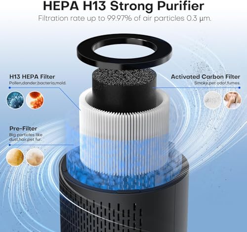 QEXREED Luftreiniger Allergiker, Raumluftreiniger HEPA-Filter gegen Pollen & Schimmel, Air Purifier mit Timer, Aroma-Diffusor für Staub & Geruch (black)