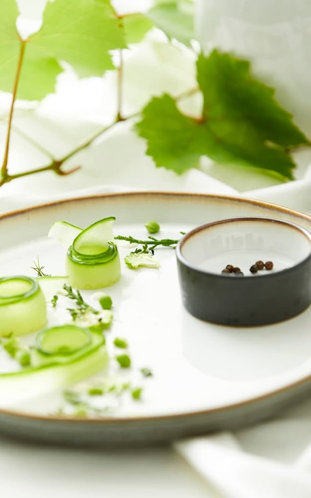  ディナープレート6枚 Amazon.co.jp: Bitz(ビッツ) ディナープレート プレート ディナー皿