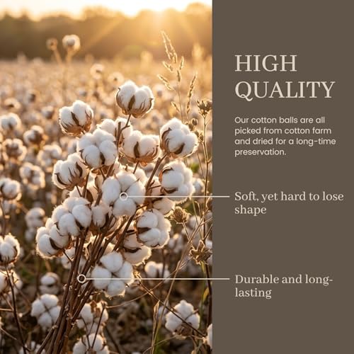 Cotton Stems, 8 Packs with 15 Bolls