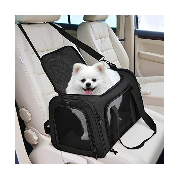 Collapsible Travel Puppy Carrier