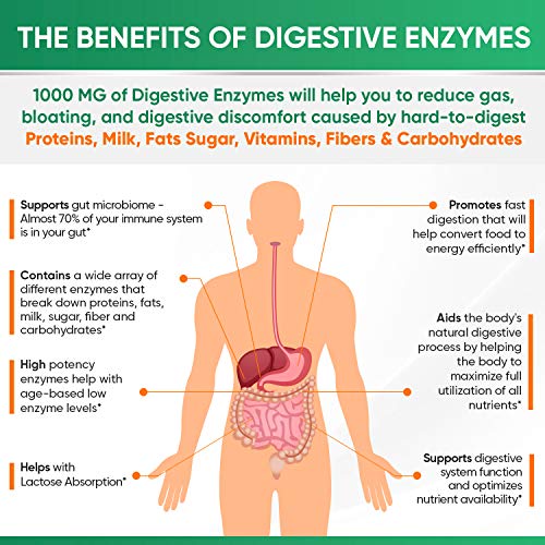 Digestive Enzymes 1000MG Plus Prebiotics