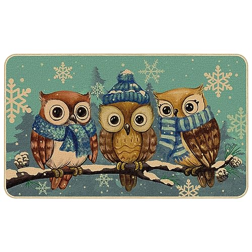 Winter Door Mat, Non Slip Owl Welcome Entrance Mats Christmas