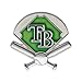MLB Tampa Bay Rays Field Pin