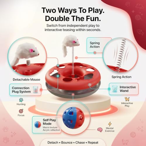 Image of FAB TECH Interactive Cat Toy with Moving Ball & Spring Mouse - 2-in-1 Circle Track Play Toy for Indoor Cats & Kittens - Durable,Fun Pet Toy for Exercise, Hunting & Batting(Color May Vary)