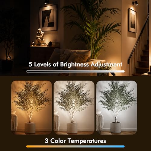 Image of 2 Pack LED Spotlights Indoor, 5W Plants Uplighting with Remote Control Dimmable & Timer, Uplights Indoor Floor Spot Lights for Picture, Artwork, Accent Stick on Wall Light with 5.9 FT Plug Cord