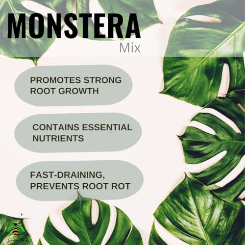 Image of Monstera Soil Mix (1KG), Ideal Soilmix for Monsteras, 100% Natural and Organic, Ideal Potmix, Potting Mixture, Ready to Use, Well Drained Mix (1 Kilogram)