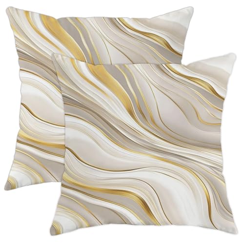 Elegant Throw Pillow Covers Set of 2, Beige and Gold