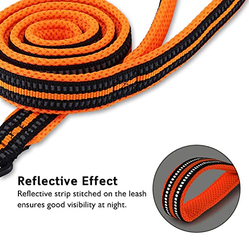 PETTOM Hundeleine Reflektierend Leine aus Nylon mit Weich Gepolsterter Griff und Metallhaken für Training, Robuste Leine Hund für Kleine Mittel Große Hunde (Orange 110 cm)