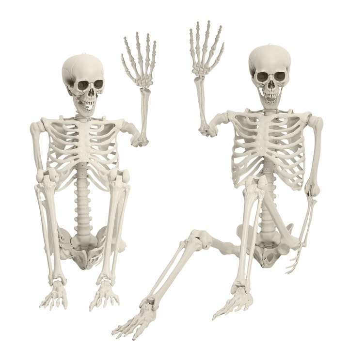 5.4Ft/170cm Posable Halloween Skeleton, Full Body Life Size Skeleton with Movable Joints for Indoor Outdoor Halloween Decorations, Spooky Party Props Decor 1Pcs