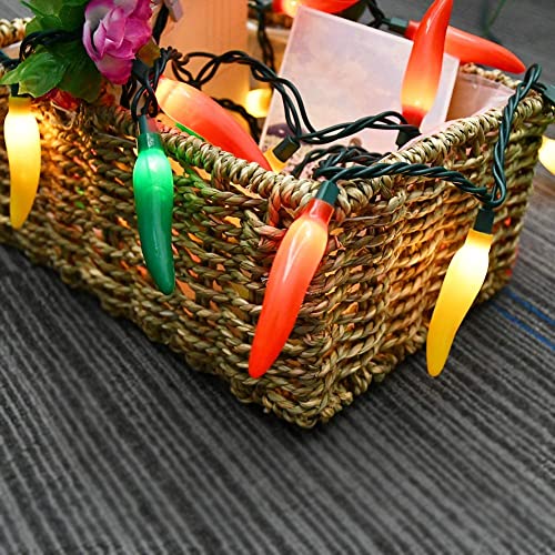 Image of Multicolor Chili Pepper String Lights Plug in, 13.6Ft Outdoor Christmas Decorations Lights with 35 LED Red Green Yellow Chili Pepper Lights for Cinco de Mayo Fiesta House Kitchen Patio Mexican Party