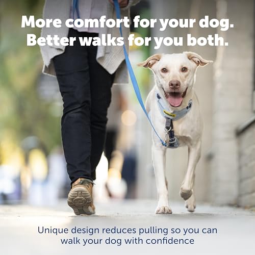 PetSafe Easy Walk Comfort No Pull Dog Harness, Black, Small - image 2