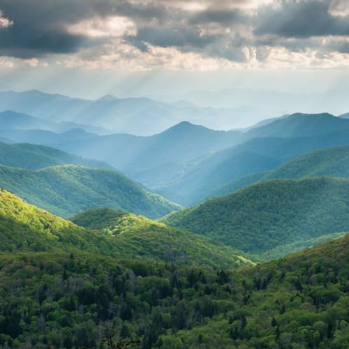 Couverture de The Biltmore View