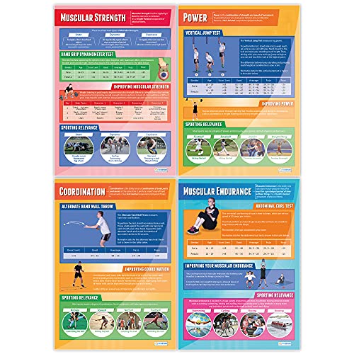 Components Of Physical Fitness Posters - Set Of 12 | Pe Posters | Gloss Paper Measuring 850Mm X 594Mm (A1) | Physical Education Charts For The Classroom | Education Charts By Daydream Education #TOP3