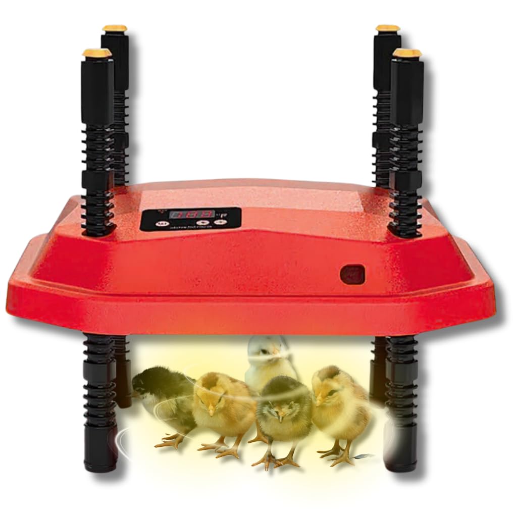 Incubadoras De Pollo - Incubadoras Pollo - Criadoras De Pollitos - Criadora De Pollitos - Lampara De Calor Para Pollitos - Incubadoras Para Pollos - Bombilla Calor Pollitos - Lampara Para