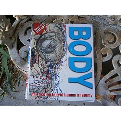 Body
