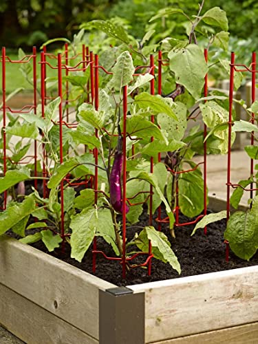 Gardeners Supply Company Pepper and Eggplant Garden Stakes | Upright Metal Vegetable Plant Supports | Sturdy V -Shape Stackable Ladder Trellis | 6 W x 6 D x 32 H (Set of 3) - Red