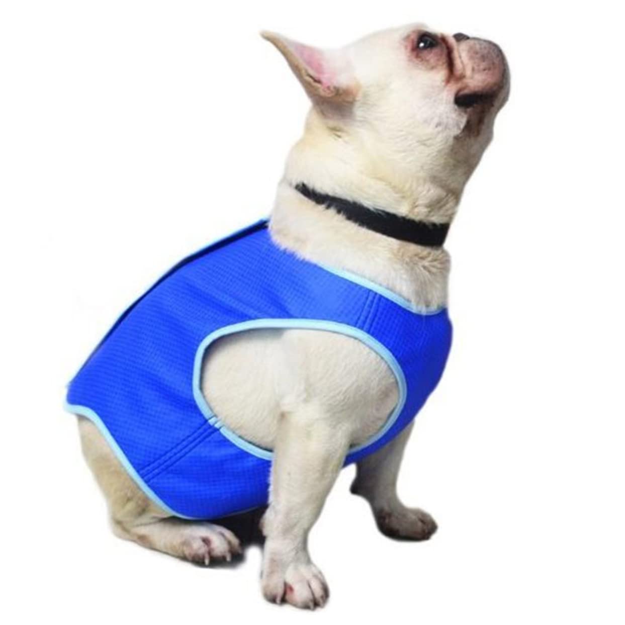 Housoutil 3pièces Gilet De Refroidissement pour Chiens Rafraîchissant Maille PVA s Bleu Confortable Et Ultra-léger