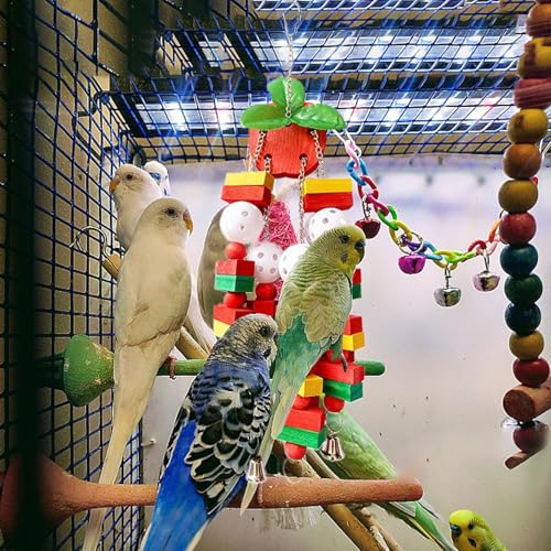 Jouet pour calopsitte et conure : créez un espace d'escalade dynamique